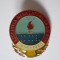 Rara! Insigna 25 ani de la infiintarea Asociatiei nevazatorilor RSR 1955-1980