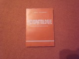 FIZIOPATOLOGIE - MANUAL PENTRU SCOLI SANITARE - T. NEGRU, M.G. SERBAN