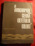 Lucian Badea - Subcarpatii dintre Cerna Oltetului si Gilort - Prima Ed. 1967