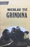 GRINDINA - Nicolae Tic
