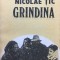 GRINDINA - Nicolae Tic