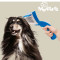 Perie de Par pentru Animalul de Companie My Pet Bristles