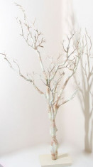 Natural Manzanita copac (41 inch) foto