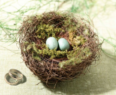 Moss, Bird Holder Nest Ring foto