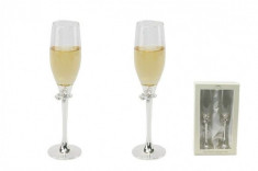Placate cu argint fluture Champagne Flutes foto