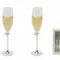 Placate cu argint fluture Champagne Flutes