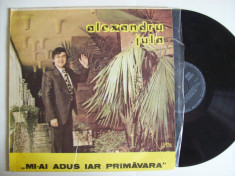 Disc vinil ALEXANDRU JULA - Mi-ai adus iar primavara (ST - EDE 02942) foto