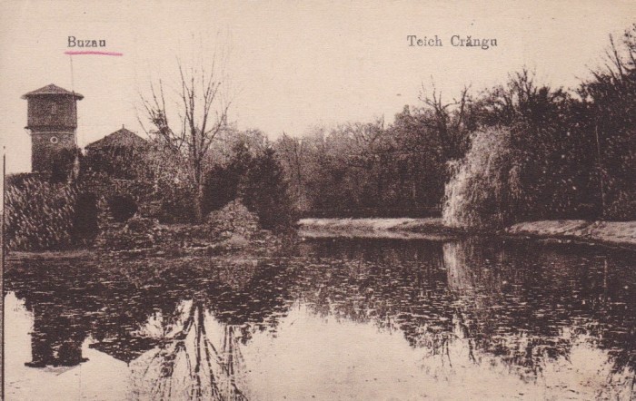 BUZAU , TEICH CRANGU
