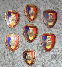 Colectie Insigne Militar de frunte foto