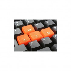 Tastatura gaming Natec GNSISR11 foto