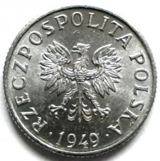 POLONIA , 1 GROSZ 1949 , UN SINGUR AN DE BATERE !!! THE WHITE EAGLE !!! foto