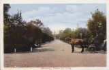 BUZAU , VEDERE DIN CRANG , TRASURA