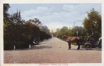 BUZAU , VEDERE DIN CRANG , TRASURA foto