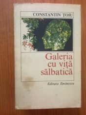 e4 Galeria cu vita salbatica - Constantin Toiu