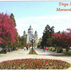 Carte postala CP MS056 Targu Mures - Piata Trandafirilor