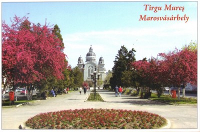 Carte postala CP MS056 Targu Mures - Piata Trandafirilor foto