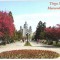 Carte postala CP MS056 Targu Mures - Piata Trandafirilor