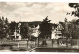 CPI (B8610) CARTE POSTALA - VEDERE DIN BORSEC