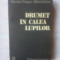 (C339) NICOLAE DRAGOS /MIHAI STOIAN - DRUMET IN CALEA LUPILOR