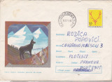 bnk ip Intreg postal 1972 - circulat - fauna - Capra neagra