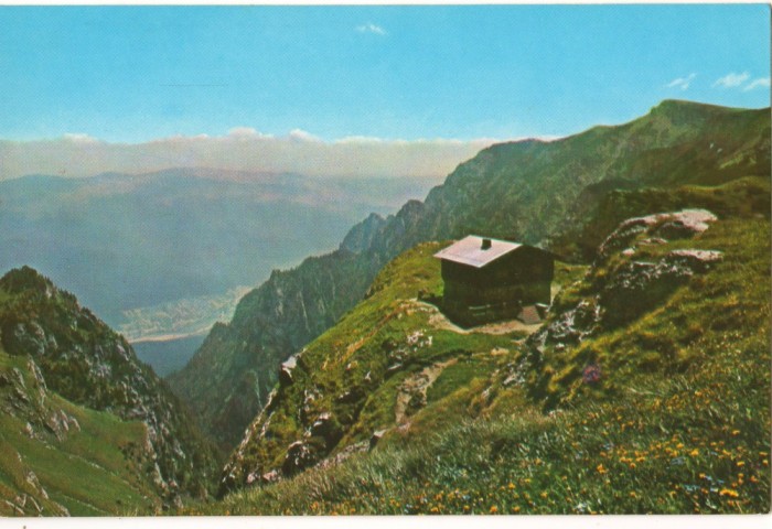 CPI (B8670) CARTE POSTALA - MUNTII BUCEGI. CABANA CARAIMAN