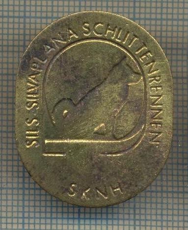 ZET 303 MEDALIE PENTRU CAINE -SILS. SILVAPLANA -SCHLITTENRENNEN -SKNH -ELVETIA
