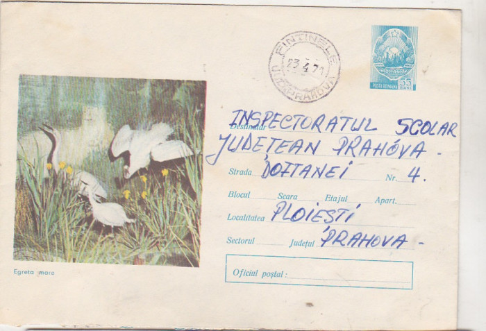 bnk ip Intreg postal 1971 - circulat - fauna - Egreta mare