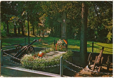 CPI (B8681) CARTE POSTALA - TEBEA. MORMANTUL LUI AVRAM IANCU foto