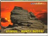 CPI (B8671) CARTE POSTALA - MUNTII BUCEGI. SFINXUL, Necirculata, Fotografie