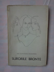 (C339) ZOE DUMITRESCU BUSULENGA - SURORILE BRONTE foto