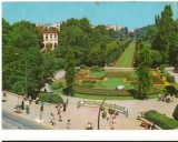 CPI (B8624) CARTE POSTALA - BUCURESTI. GRADINA CISMIGIU, Circulata, Fotografie