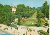 CPI (B8629) CARTE POSTALA - BUCURESTI. GRADINA CISMIGIU, Circulata, Fotografie