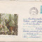 bnk ip Intreg postal 1975 - circulat - fauna - Cerbul carpatin