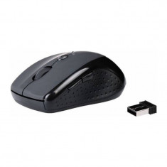 Mouse Natec Optical Wireless KIWI Black foto