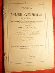 A.Popovici-Baznosanu-Studiu biologic comparat asupra catorva specii Osmia 1909 foto