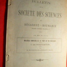 Prof. A.Popovici-Baznosanu -Megachile Bombycina- Reproducerea Ed.1907