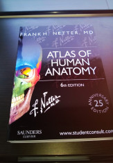 NOU Atlas of Human Anatomy F. H. Netter 6th ed./ Atlas Netter ed.6 Engleza foto