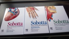 Atlas de anatomie Sobotta Ultima Editie (Ed. 15) in Engleza 3 Volume foto