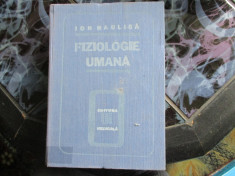 fiziologie umana ion haulica foto