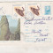 bnk ip Intreg postal 1969 - circulat - Piatra Craiului