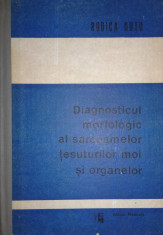 R. DUTU: DIAGNOSTICUL MORFOLOGIC AL SARCOAMELOR TESUTURILOR MOI SI ORGANELOR foto