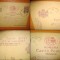Carta Postala Militara. Reg. 13 Calarasi. RL3. C MItraliori.