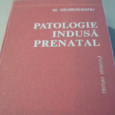 M. Geormaneanu - PATOLOGIE INDUSA PRENATAL { 1978 }