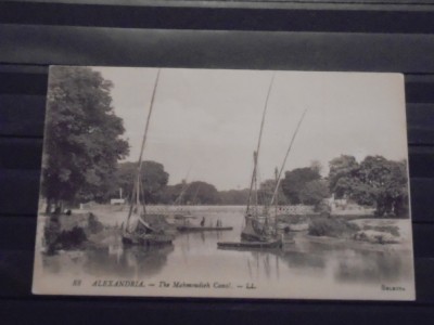 ROMANIA VECHE - ALEXANDRIA - CANALUL MAHMUDIA CU BARCI PESCARESTI- NECIRCULATA foto
