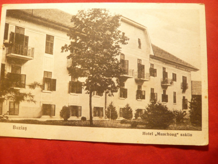 Ilustrata Baile Buzias - Hotel Muschong ,circulat 1930,Ed. Klauber Basar Buzias