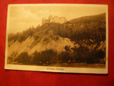Ilustrata Cetatea Neamtului , interbelica , autor R.Morel foto