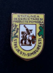 Insigna Statiunea pomicola Strejesti Samburesti foto