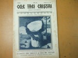 Cele 3 Crisuri 1938 receptie ordin Ferdinand familia Aman Manoilescu Eminescu