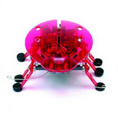Microrobot Beetle roz inchis foto