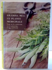 GRADINA MEA CU PLANTE MEDICINALE de SERGE SCHALL , 2016 foto